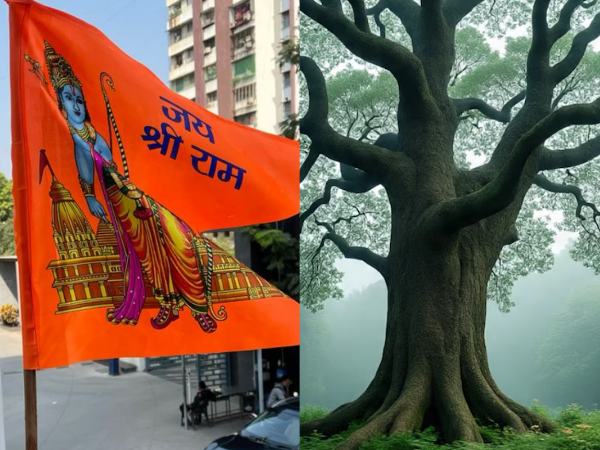 वैदिक विज्ञान का जीता-जागता प्रमाण है कोविदार वृक्ष!  इस ऋषि ने ‘हाइब्रिड तकनीक’ से किया था उत्पन्न, इन 2 पौधों का है मेल!