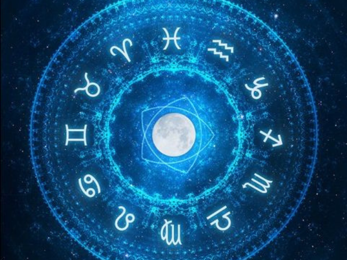 Disclaimer - Photo Gallery