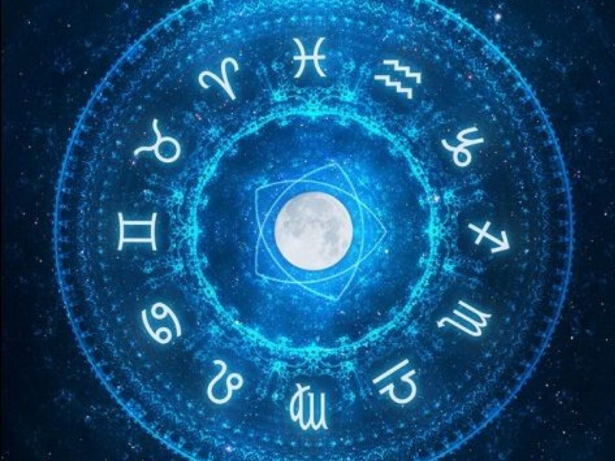 Disclaimer - Photo Gallery