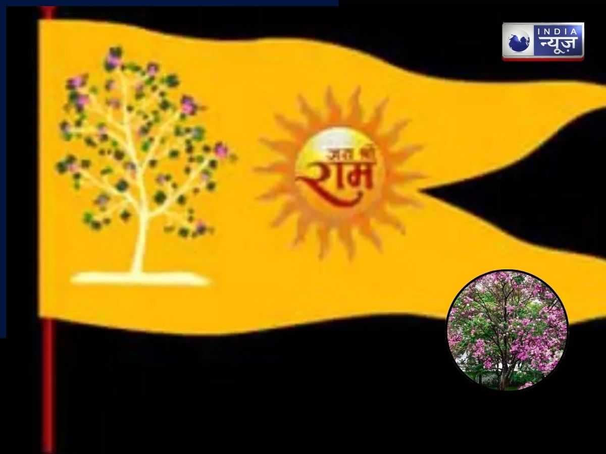 Ram Mandir Flag Kovidar Tree: वैदिक विज्ञान का जीता-जागता प्रमाण है कोविदार वृक्ष!  इस ऋषि ने ‘हाइब्रिड तकनीक’ से किया था उत्पन्न, इन 2 पौधों का है मेल!