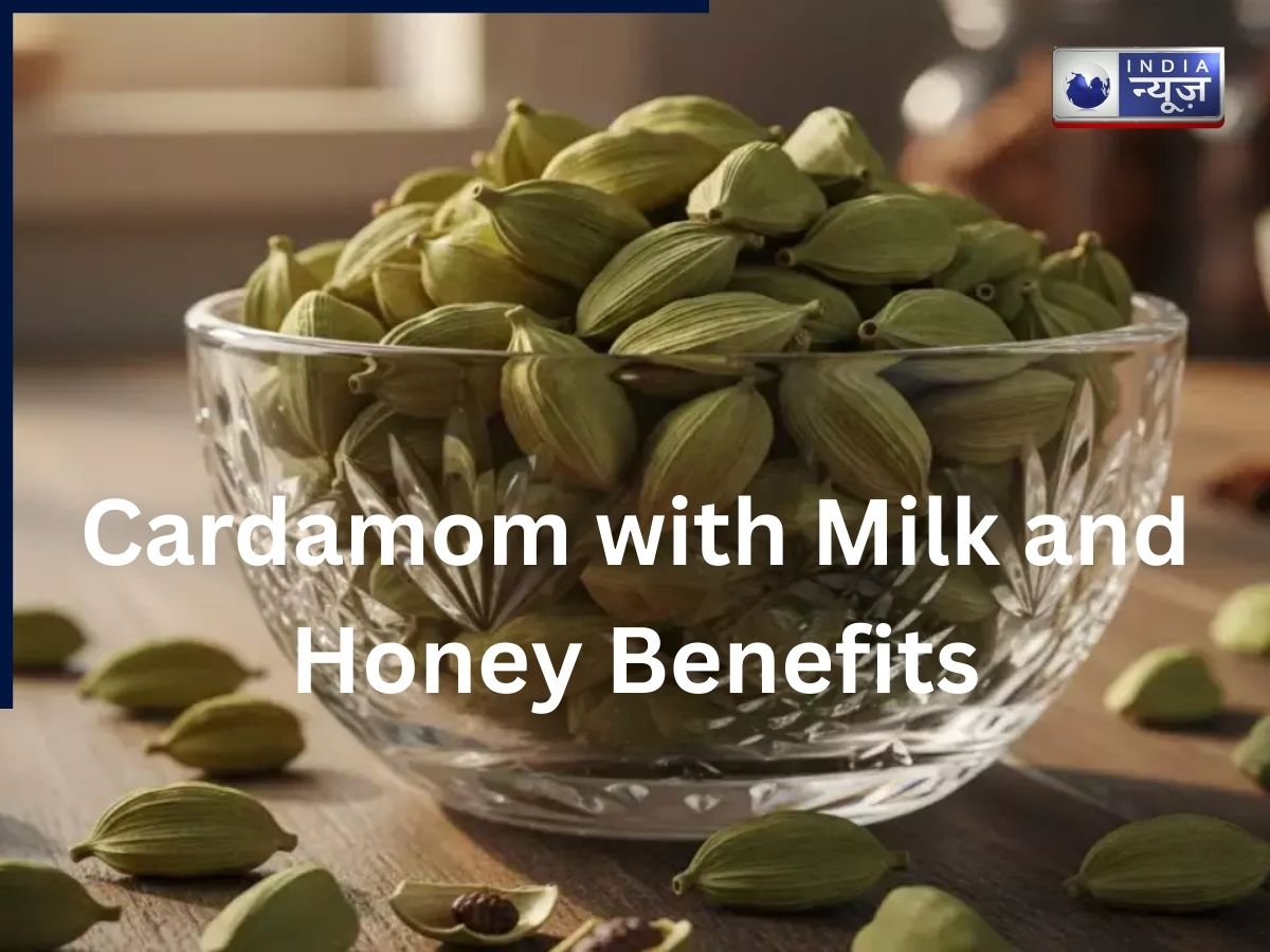 दूध-शहद के साथ खाएं हरी इलायची, क‌ई बड़ी बीमारियां रहेंगी कोसों दूर! जानिए क्या कहता है आयुर्वेद?