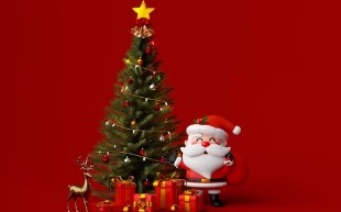 Date of Celebration - Photo Gallery