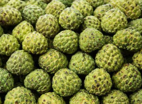 Local and seasonal fruits - Photo Gallery