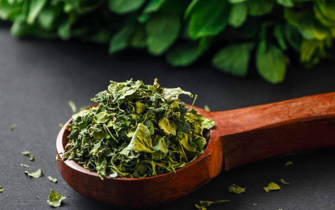 Geographical Identity - Photo Gallery