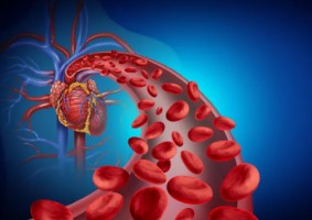 Improve Blood Circulation - Photo Gallery