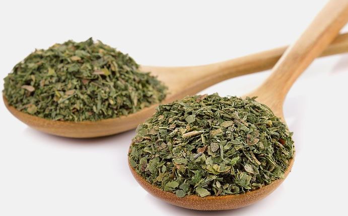 Historical Significance - Photo Gallery