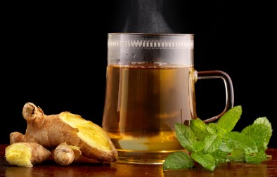 Ginger - Photo Gallery