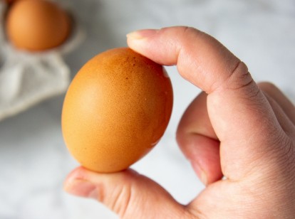 Shake Test - Photo Gallery