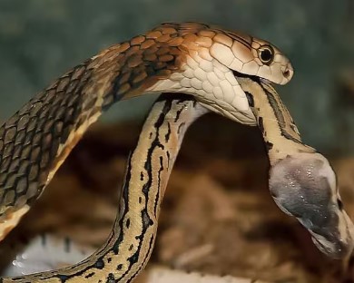 Calm and safe environment - Photo Gallery