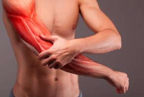 Aid in muscle recovery - Photo Gallery