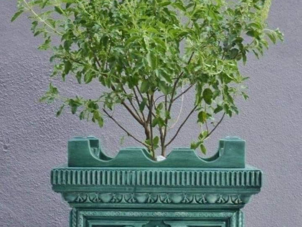 Don’t Offer Water on Certain Days - Photo Gallery