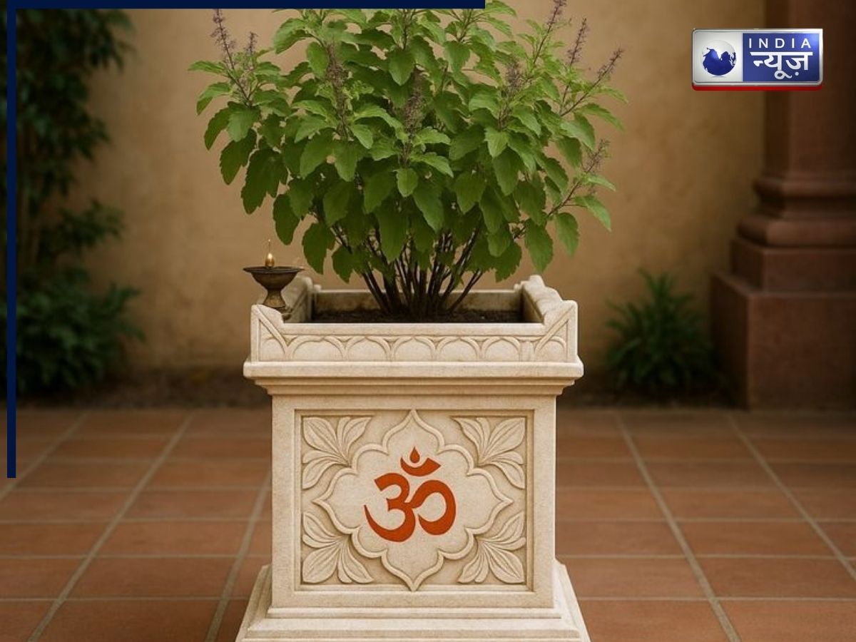 Tulsi Leaves Alert: गलत दिन पर तुलसी की पत्तियां तोड़ीं तो बढ़ सकती हैं परेशानियां, जानें सही नियम