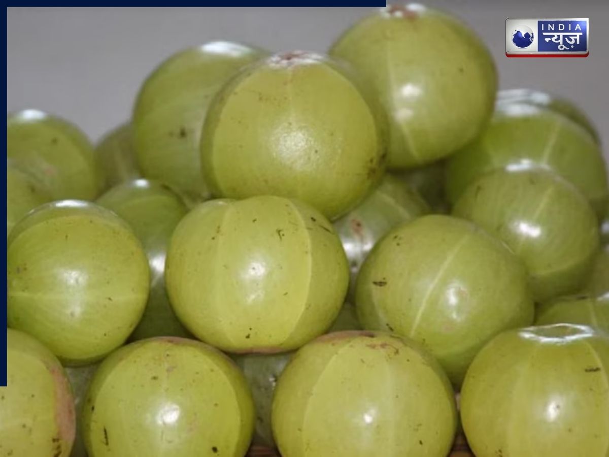 सर्दियों में आंवला खाना ज्यादा फायदेमंद कैसे, त्वचा से लेकर बालों तक सबमें कारगर