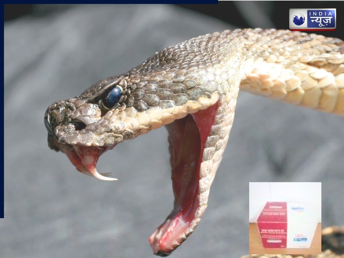 सांप काटने पर दो मिनट में जहर का पता चलेगा, प्रेग्नेंसी टेस्ट जितना आसान हुआ परीक्षण