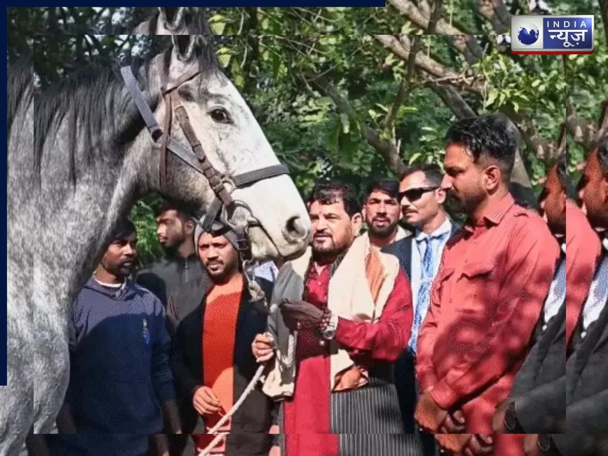लग्जरी कारों से भी महंगा है बृजभूषण सिंह का गिफ्टेड घोड़ा, जानें क्या हैं खूबियां