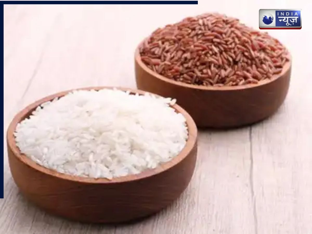 Brown vs White Rice: ब्राउन या व्हाइट राइस, कौन से चावल भारतीयों के लिए फायदेमंद, क्या है फर्क?