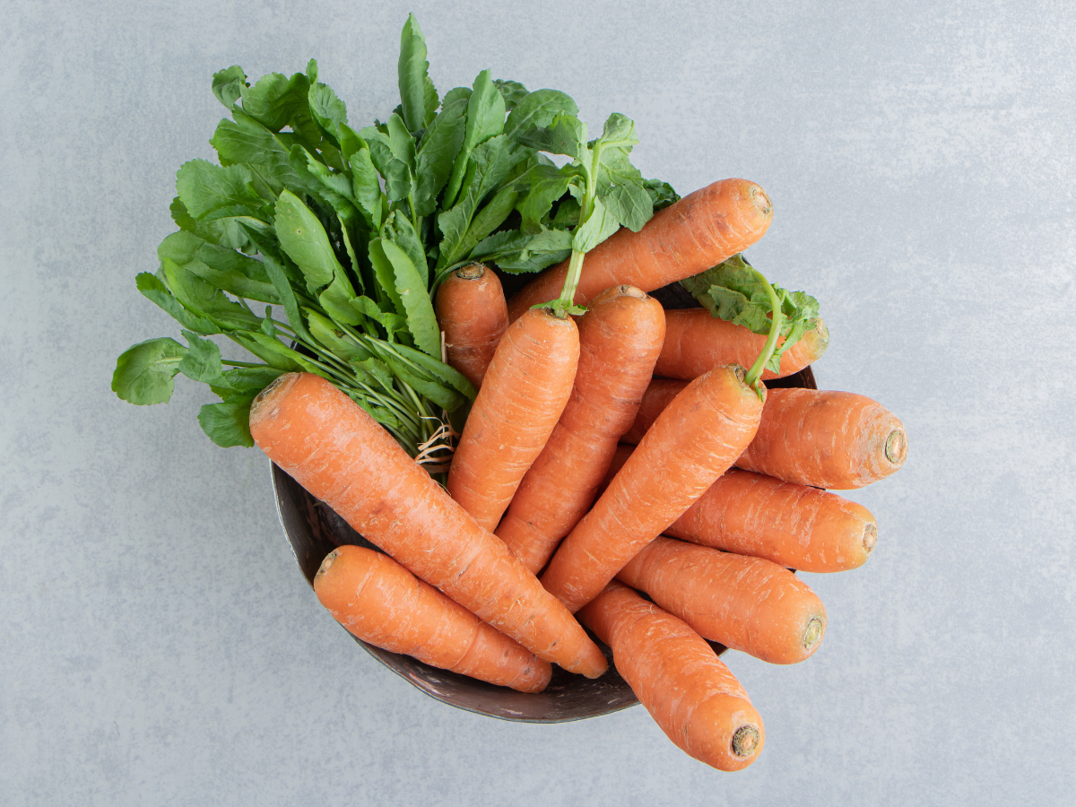 Carrots - Photo Gallery