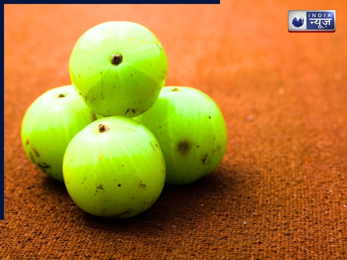 आंवले में छिपे हैं सेहत के कई राज, इस सर्दी रोजाना इस्तेमाल करें आंवला और देखें फर्क
