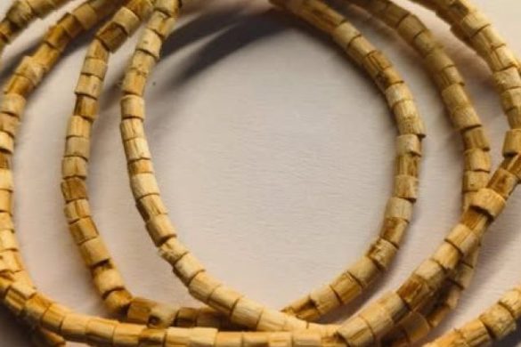 यहां जानें तुलसी की माला पहनने से क्या लाभ जीवन में मिलते हैं