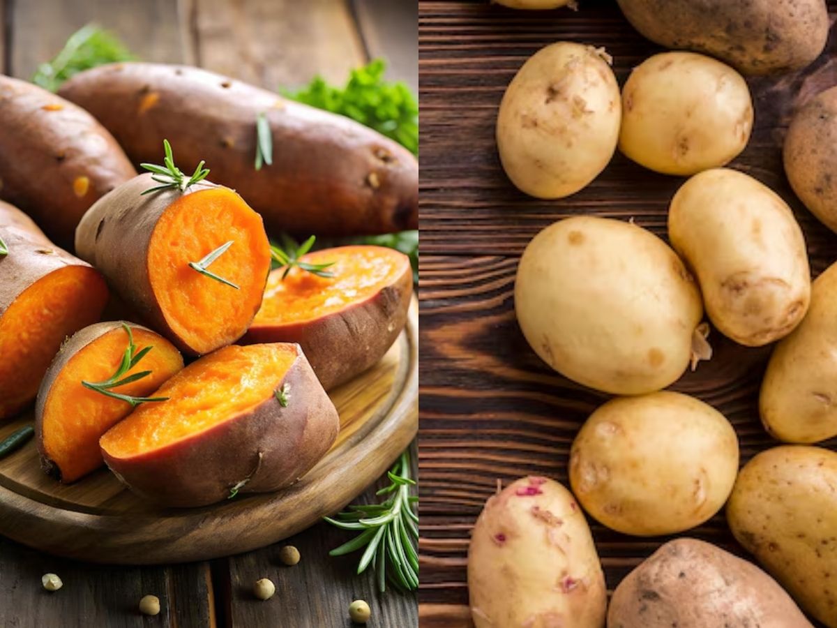 health benefits of sweet potatoes and potatoes depend on cooking - Photo Gallery