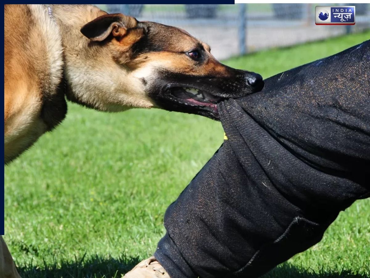 रेबीज वैक्सीन के बावजूद नहीं बच पाई मासूम, क्यों फेल हो रहा वैक्सीनेशन का प्रभाव? - Photo Gallery