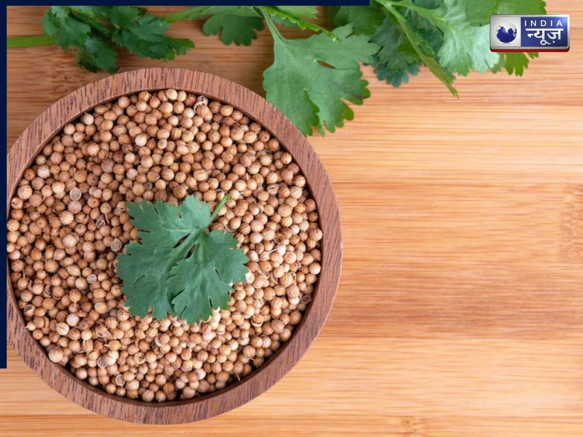 coriander seed germination tips - Photo Gallery