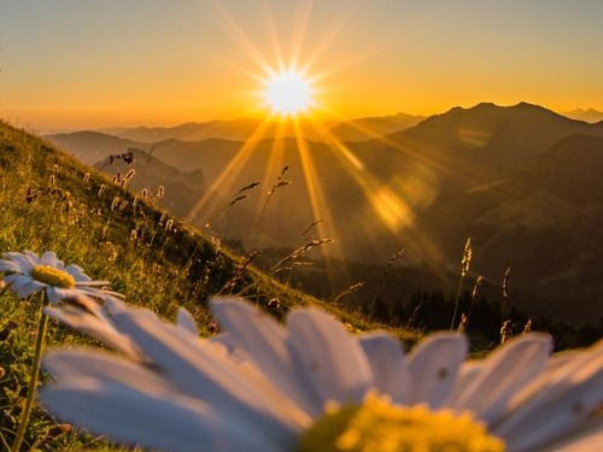 Get Regular Sunlight and Stay Active - Photo Gallery