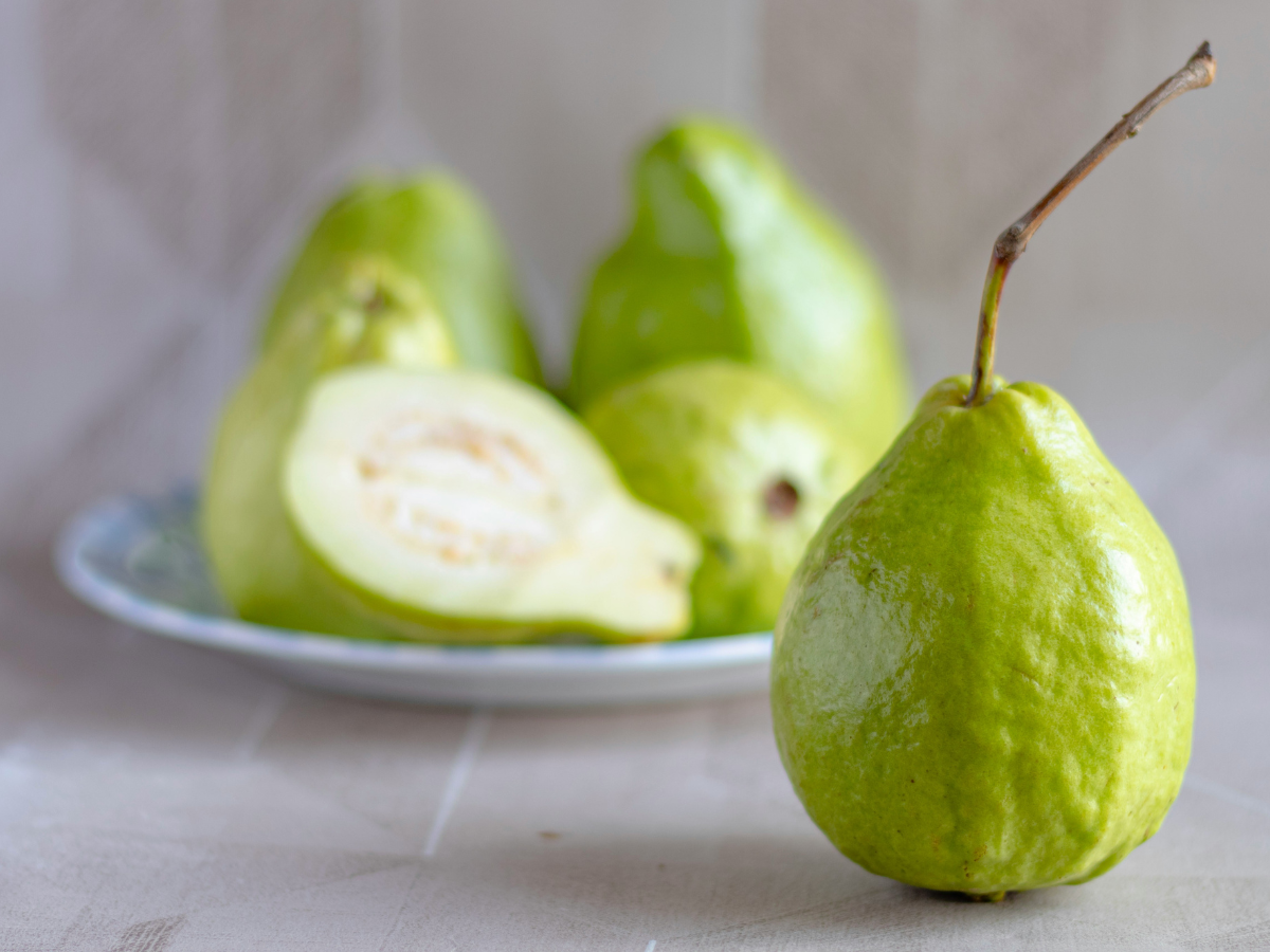 Guava - Photo Gallery