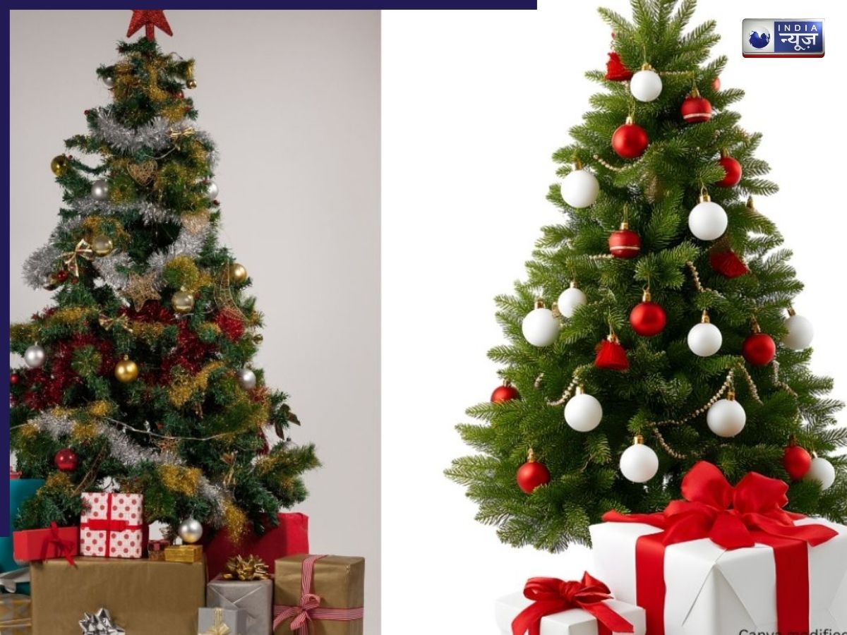 Christmas Tree - Photo Gallery