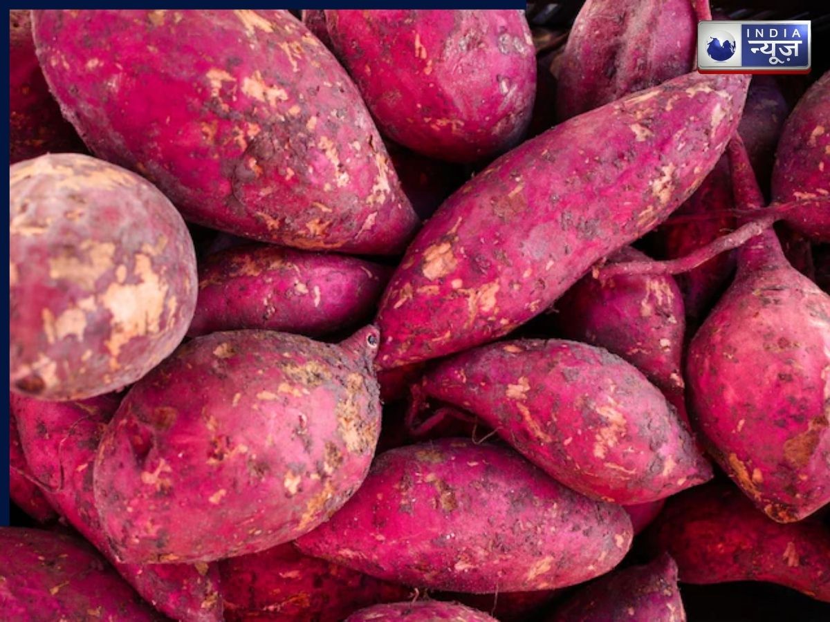 Sweet Potato: सेहत और ताकत का खजाना शकरकंद, जानें क्यों है यह विंटर सुपरफूड