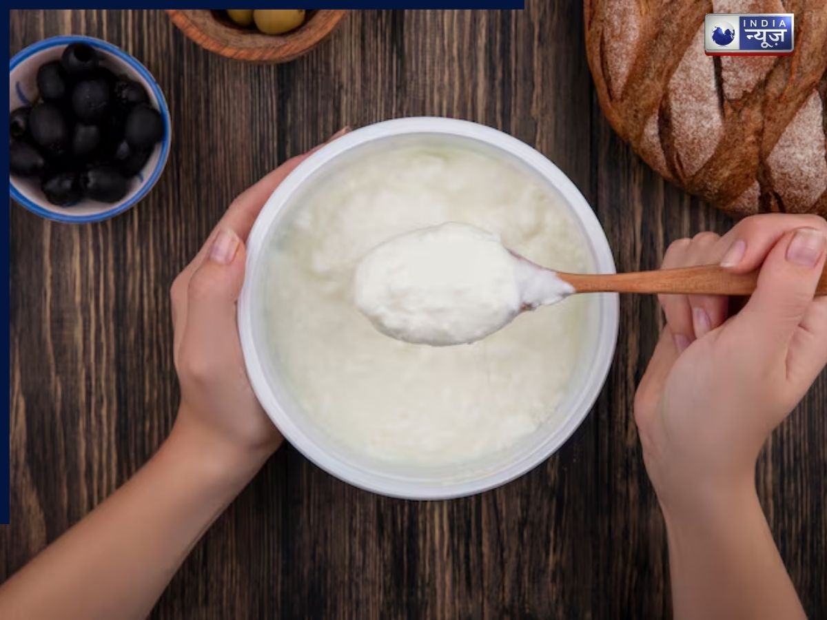 Greek yogurt probiotics digestion - Photo Gallery