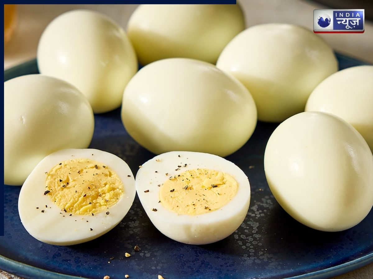 how much protein egg give - Photo Gallery