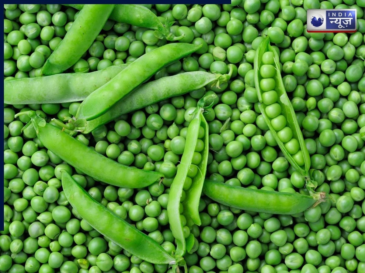 peas protein nutrition - Photo Gallery