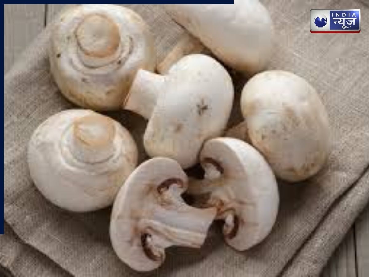 mushroom protein per cup - Photo Gallery