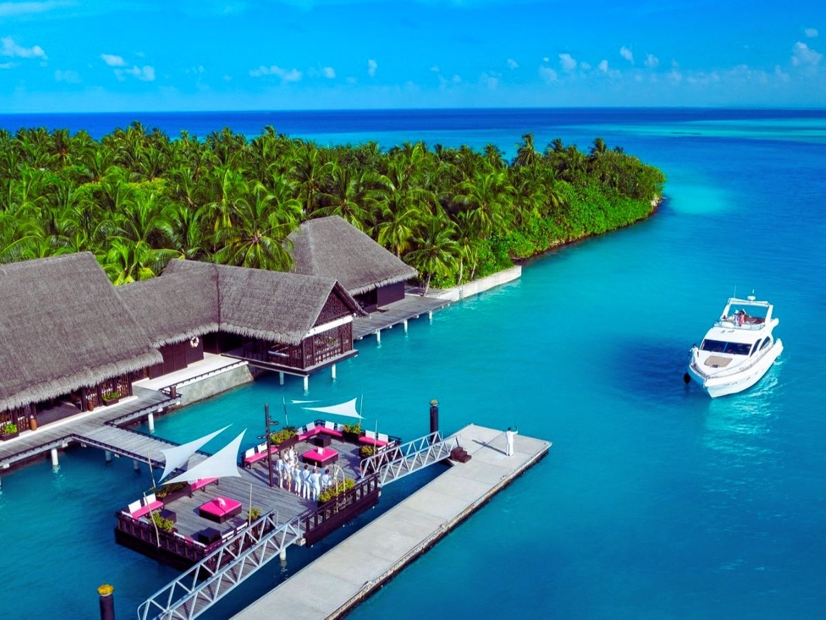 Income Tax Officers To Access Your Bank Social Media Accounts 2