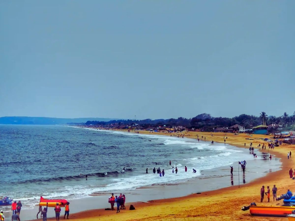 Income Tax Officers To Access Your Bank Social Media Accounts 3