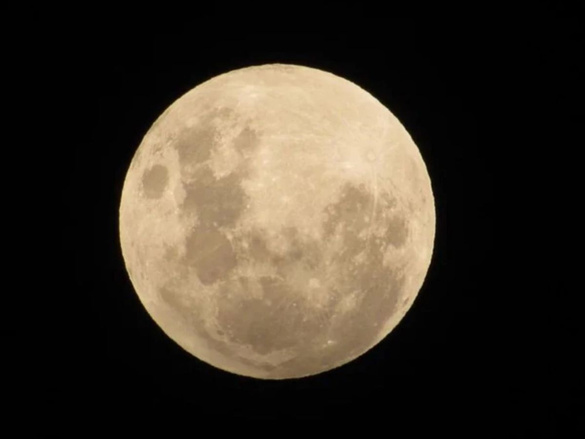 Last Purnima Rituals - Photo Gallery