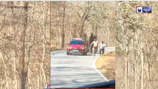 जंगली हाथी का कहर: कार से उतरकर शक्स को फोटो लेना पड़ा भारी, बाल-बाल बची जान, देखें वीडियो!