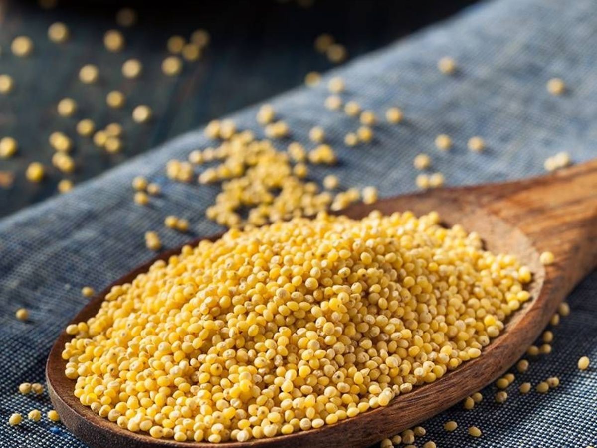 Why Mustard Seeds Are Considered Lucky For Married Life - Photo Gallery