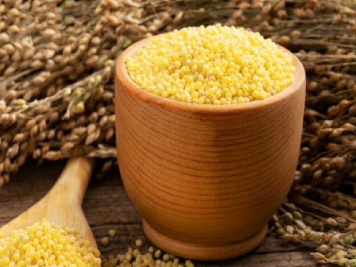 Sprinkle Yellow Mustard To Remove Negativity-Vastu Tip - Photo Gallery