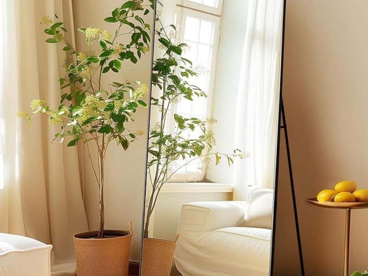 Mirror on North Wall - Photo Gallery