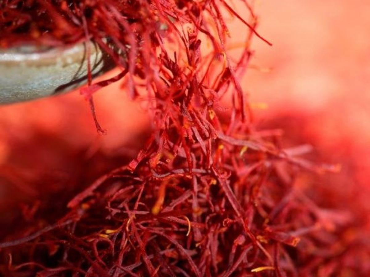 Saffron - Photo Gallery