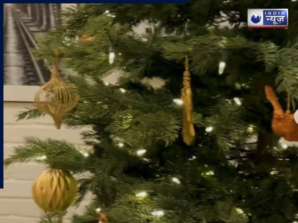 Alia Bhatt Didn't Share Christmas Party Picture - Photo Gallery