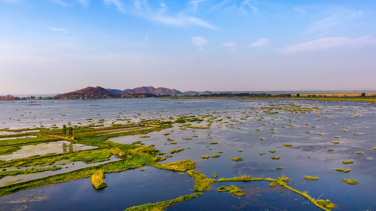 keibul lamjao national park - Photo Gallery