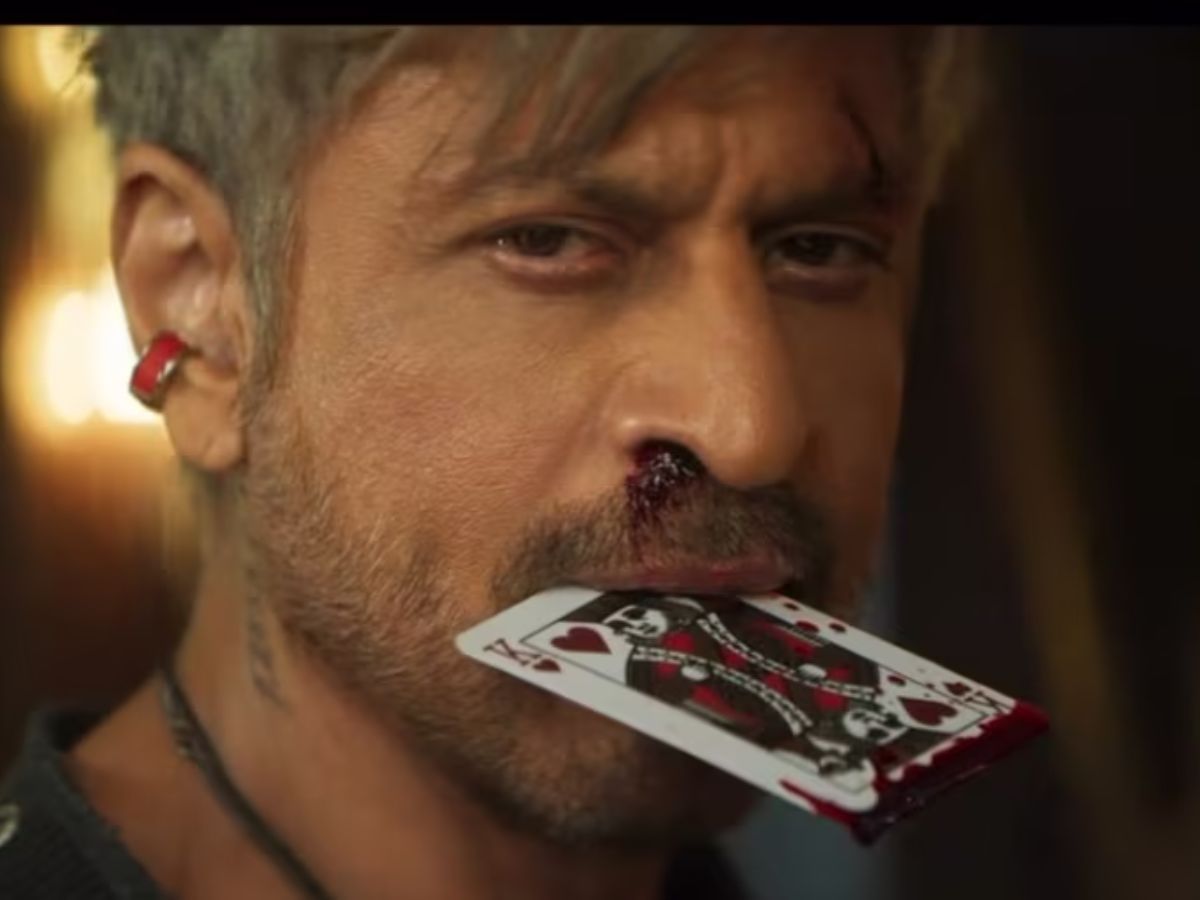 King - Photo Gallery