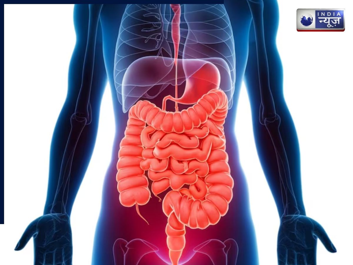 Millet is rich source of resistant starch for gut health. - Photo Gallery