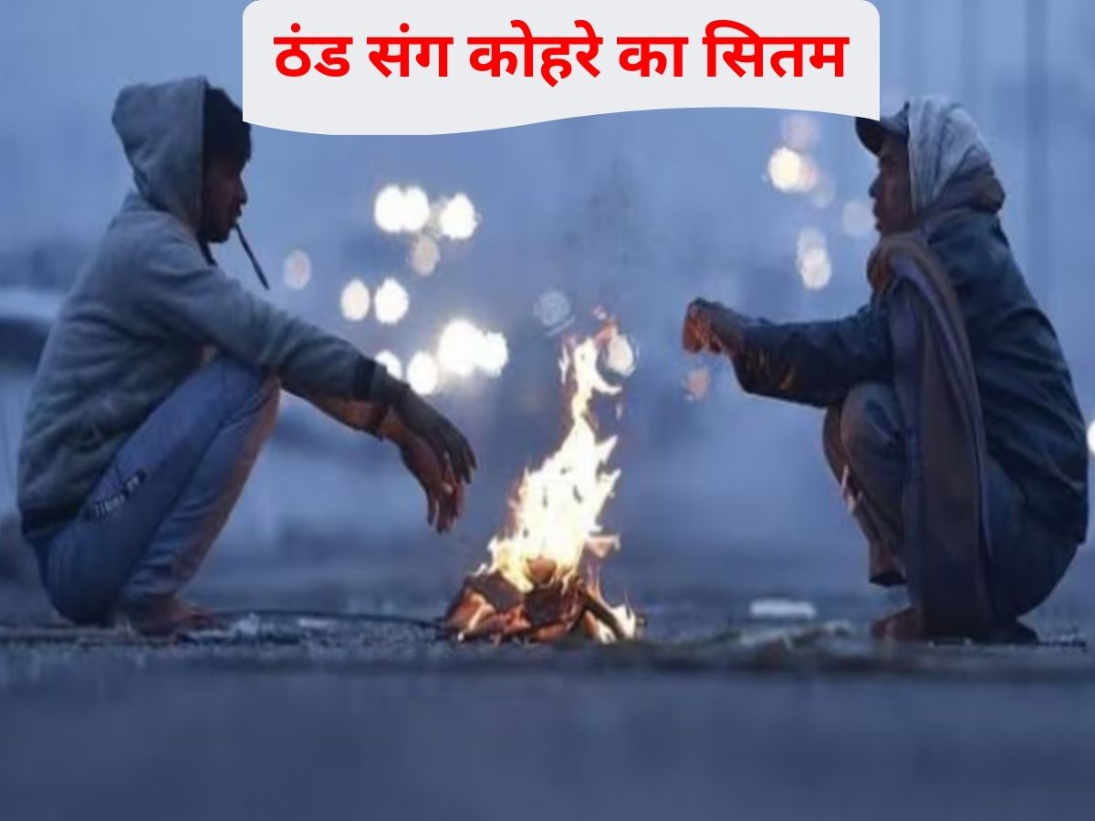 Delhi Weather Today Live: दिल्ली-एनसीआर में 4 दिन तक छाएगा घना कोहरा, वाहन चालकों के लिए अलर्ट जारी