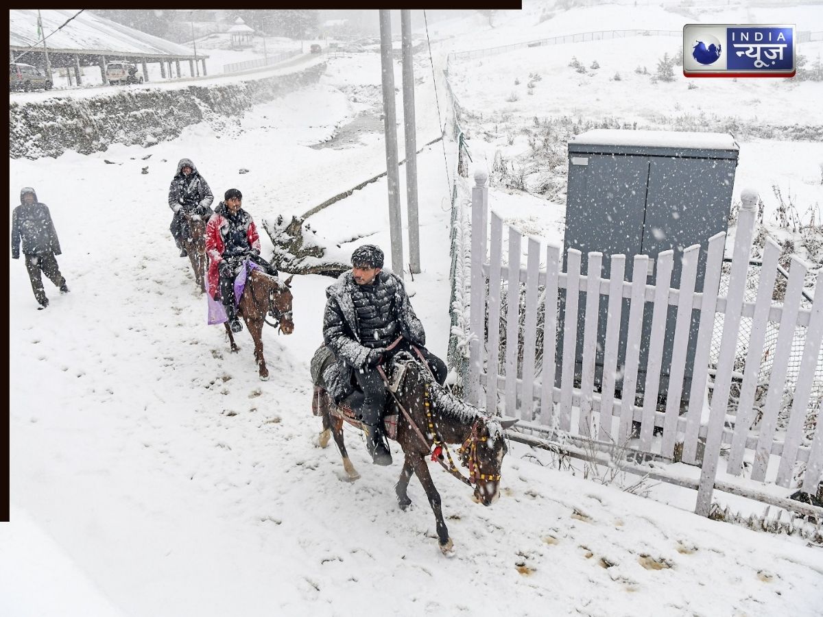 Local businesses in Kashmir expressed their happiness - Photo Gallery