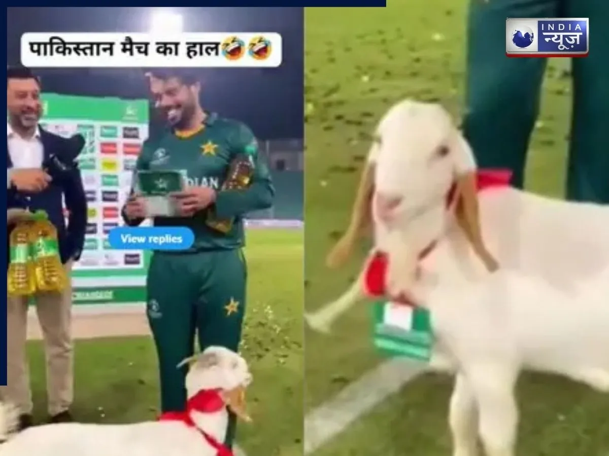 पाक में मैन ऑफ द मैच जीतने वाले खिलाड़ी को मिला बकरा? वीडियो वायरल, जानें क्या है सच्चाई