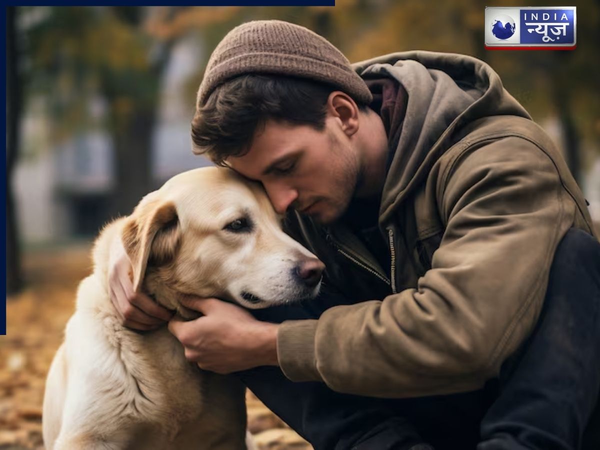 therapy dogs benefits - Photo Gallery